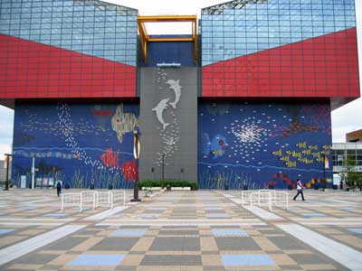 CV